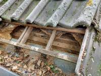 Steenmarter schade dakbeschot